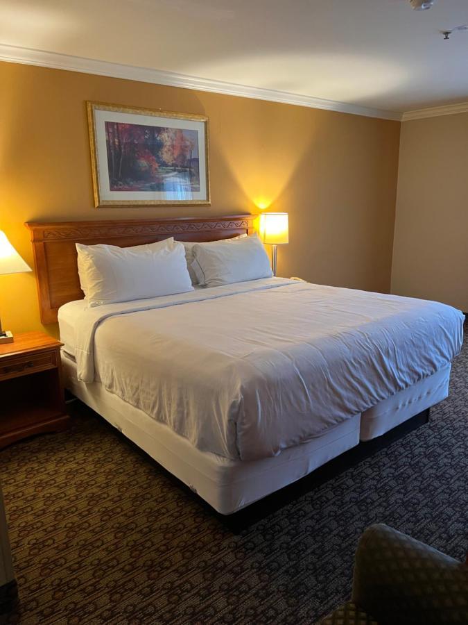 Hotel Xola Moreno Valley Exterior photo